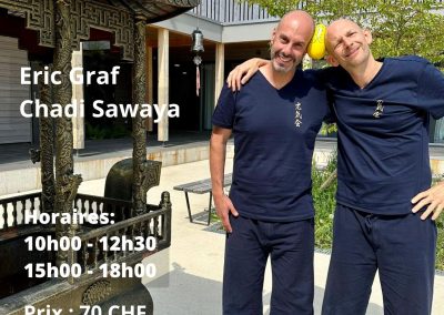 Japanese Yoga Seminar, 23 Novembre, Geneva